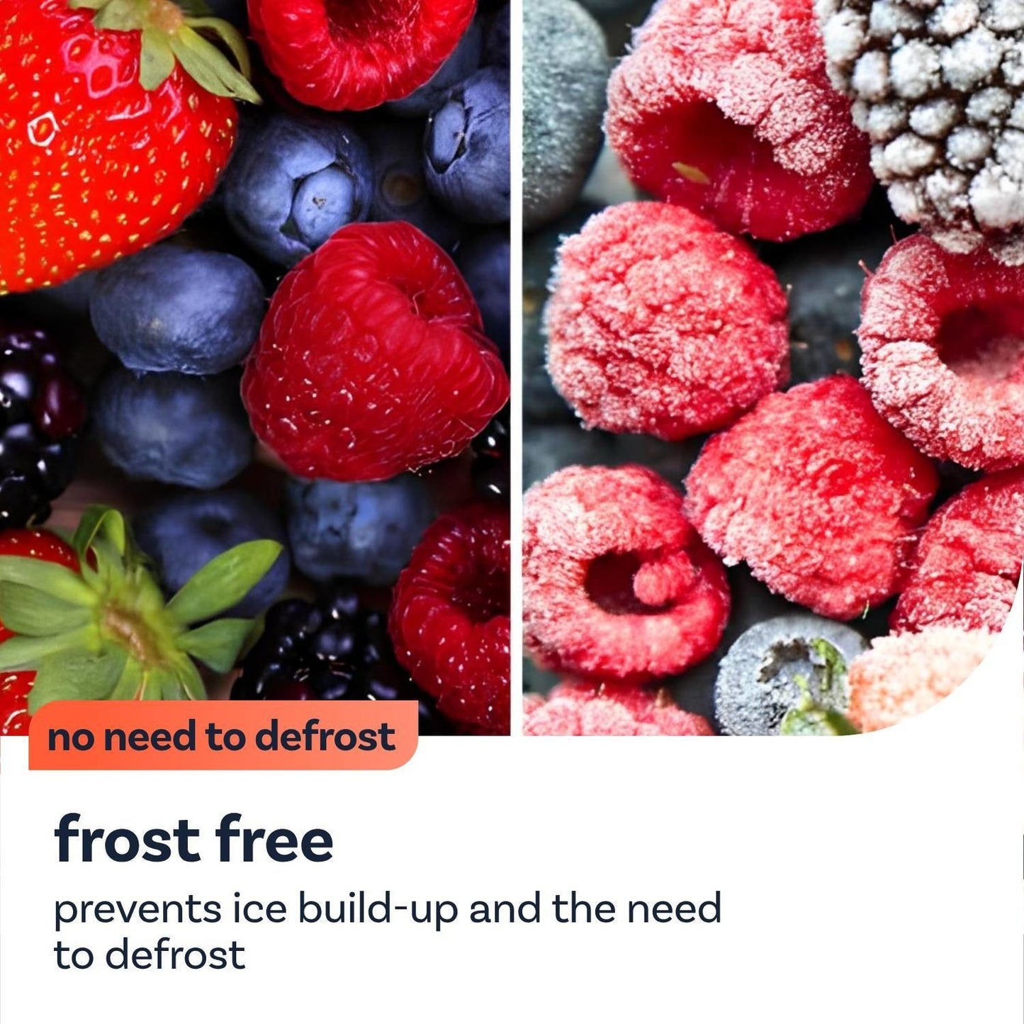 Maroon Bosch Series 2 255 Litre 50/50 Freestanding Fridge Freezer - Black